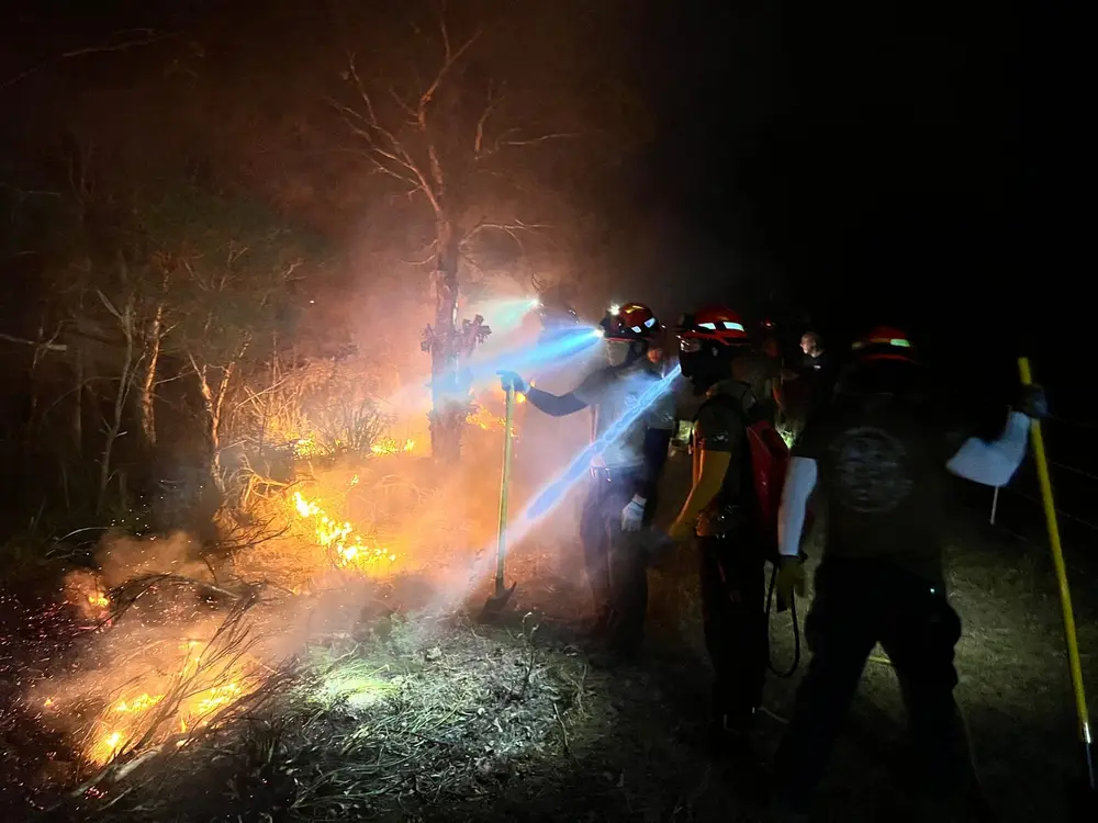 Crew working a prescribed burn after dark by head torch.